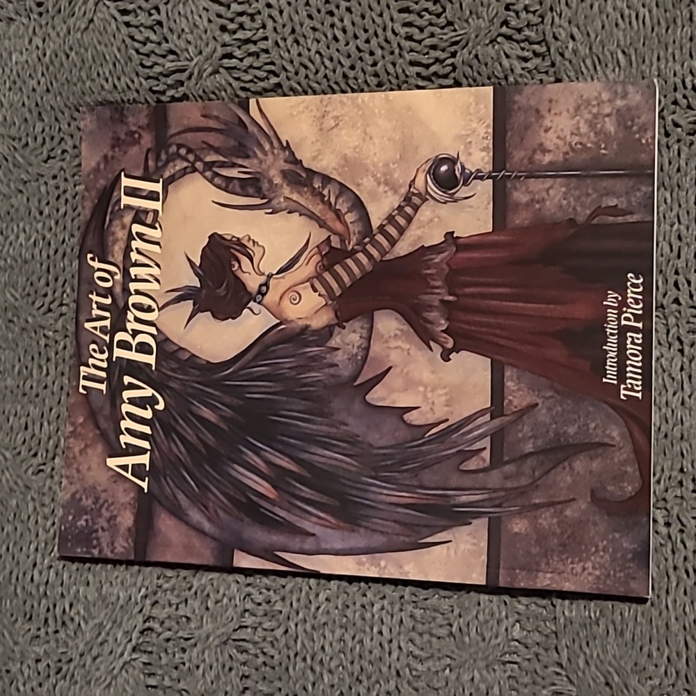 ❤️AMY BROWN art book
